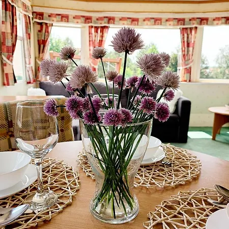 Domek letniskowy Holenderski Sosnowa Na Wylacznosc Wilkasy (Gizycko)